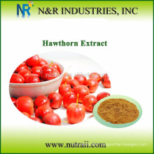 hawthorn berry powder 60-200mesh